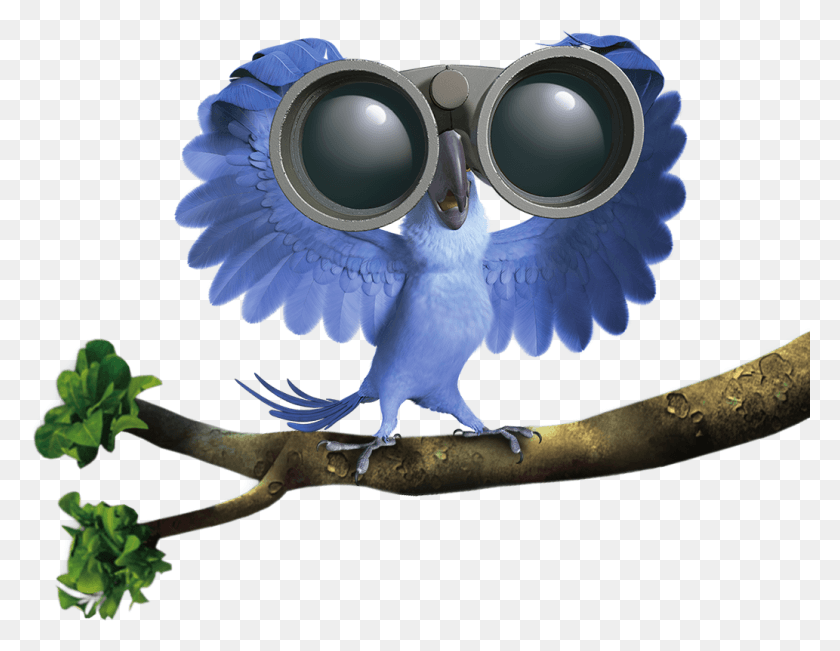 1033x783 Rio Images Blu On Tree Wallpaper And Background Rio 2 Characters, Binoculars, Sunglasses, Accessories HD PNG Download