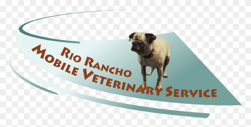 1767x831 Rio Rancho Mobile Vet Pug, Dog, Pet, Canine HD PNG Download
