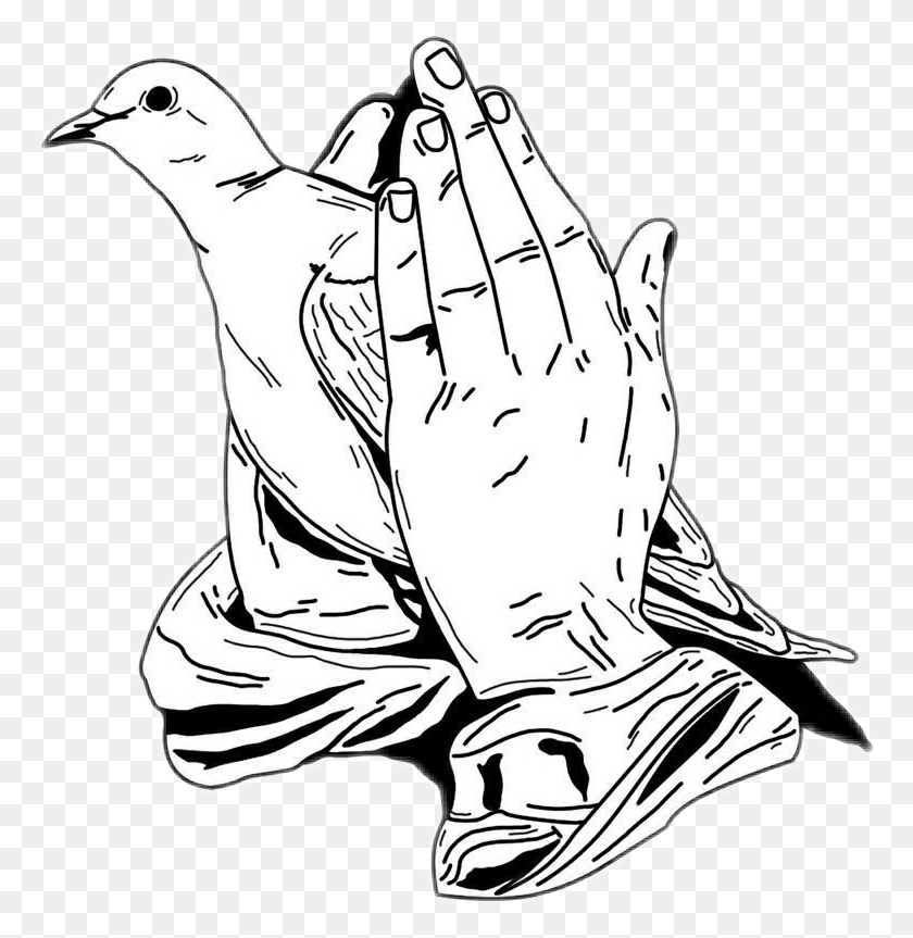 771x803 Rip Worship Hand Dove Peace Prayer Prayer Praying Hands With Doves, Person, Human HD PNG Download