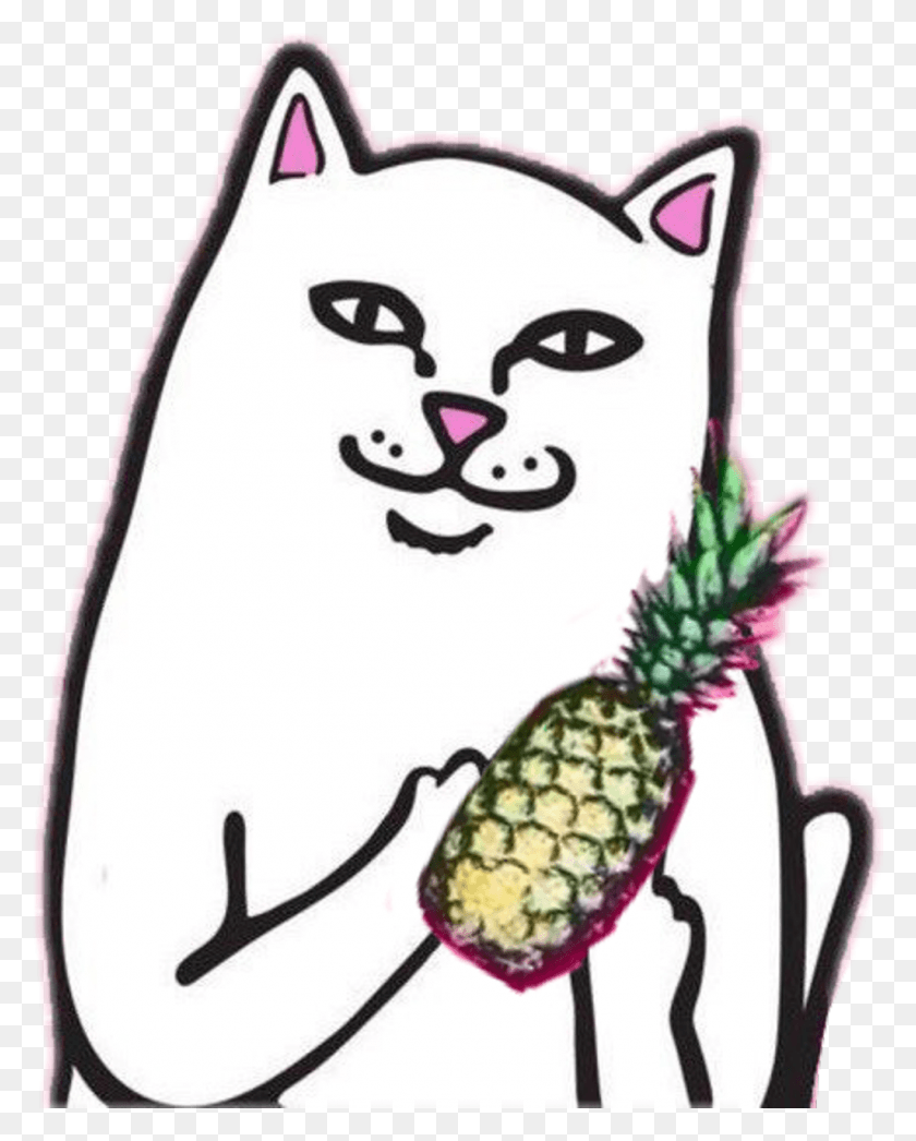 1024x1295 Descargar Png Ripndip Ripndipcat Cat Coolcat Pineapple Summer Rip N Dip Cat, Planta, Fruta, Alimentos Hd Png