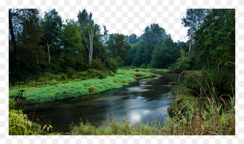 1920x1080 Река В Зеленом Лесу Британская Колумбия Лесная Река, Вода, Природа, На Открытом Воздухе Hd Png Скачать