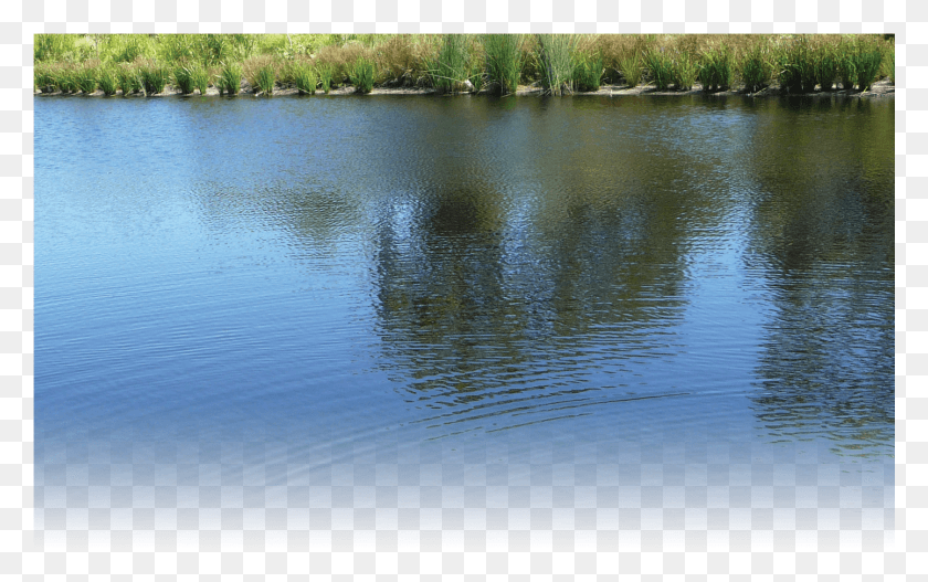 1441x864 River Water, Nature, Outdoors, Pond HD PNG Download
