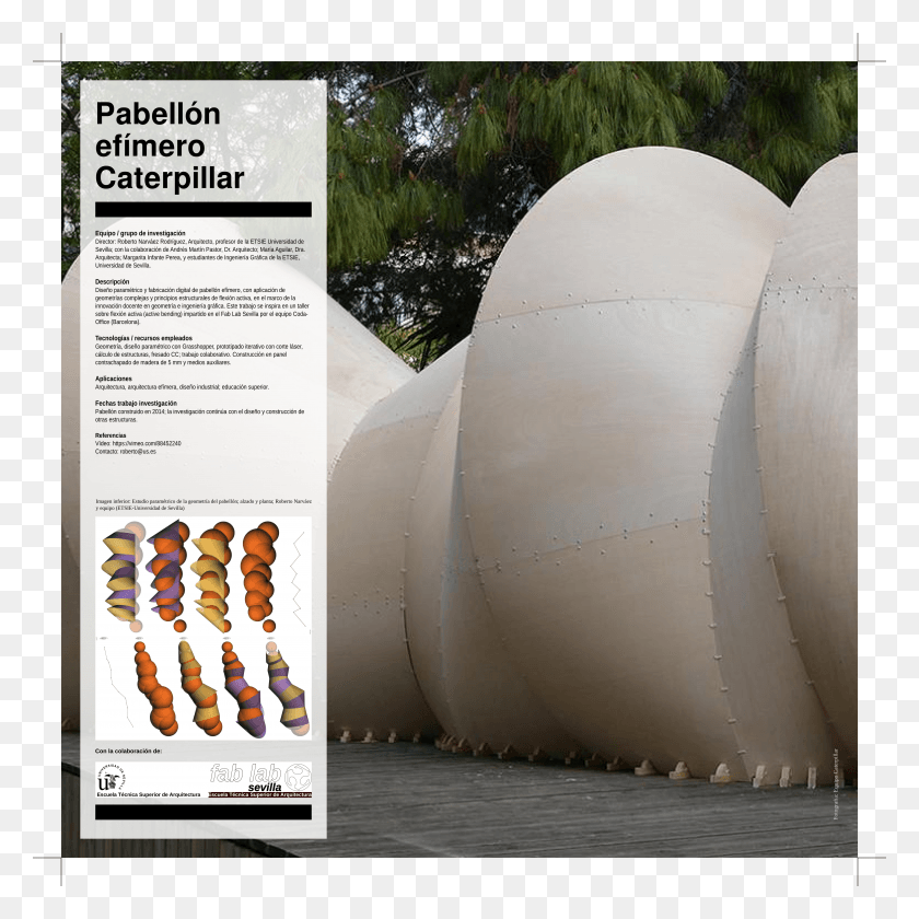 5315x5315 Rn Caterpillar Tree, Building, Architecture, Advertisement HD PNG Download