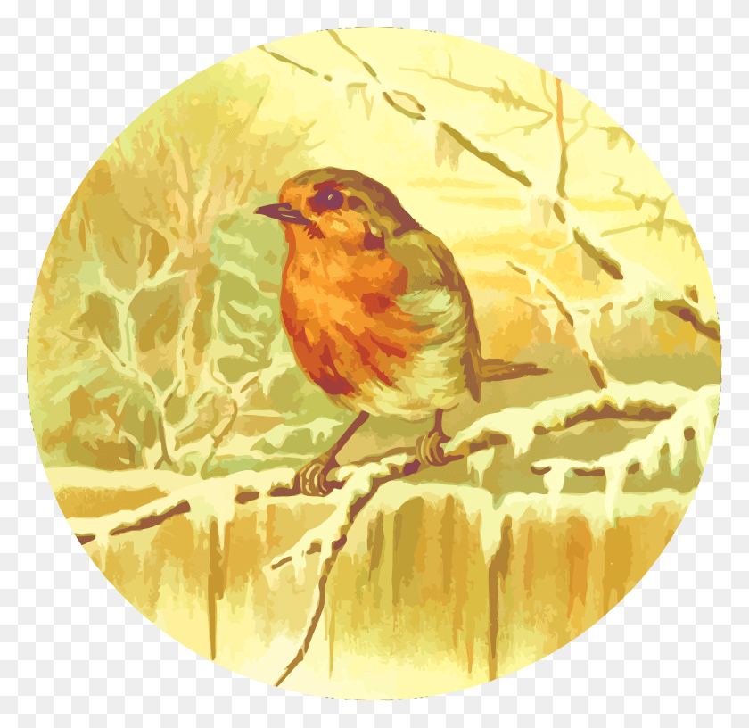 2400x2327 Robin, Bird, Animal, Canary HD PNG Download
