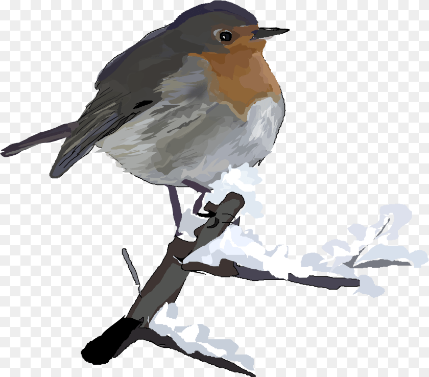 2400x2109 Robin Bird Transparent Background, Animal, Baby, Person Clipart PNG