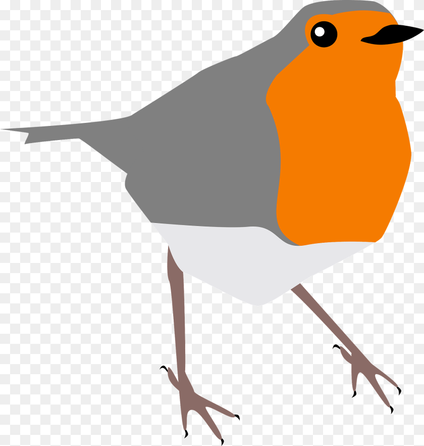 1829x1920 Robin Animal, Bird Clipart PNG