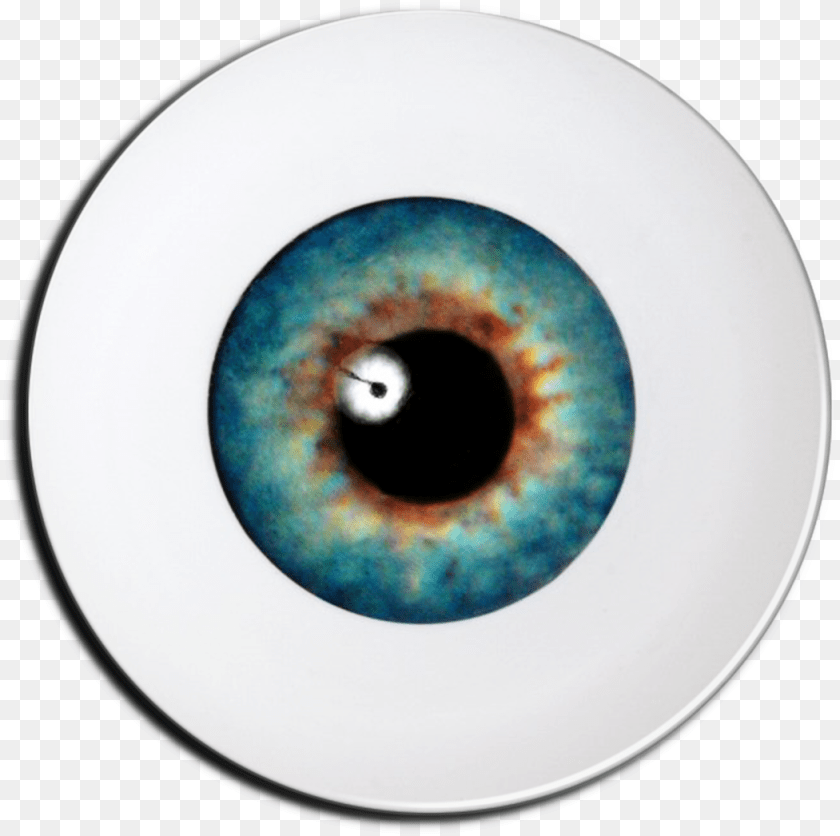 1051x1046 Robot Eye Portable Network Graphics, Art, Porcelain, Pottery, Plate PNG