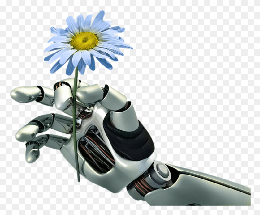 958x782 Descargar Png / Robot De La Mano De La Flor De La Mano De Robot Con La Flor, Planta, Margarita, Margaritas Hd Png