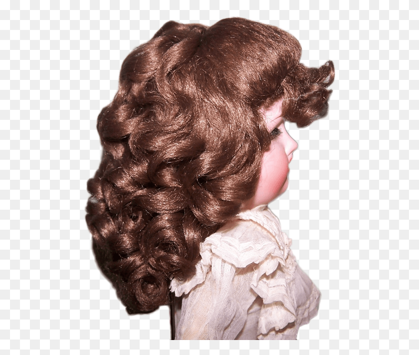 506x651 Robyn Brown Wig Girl, Head, Hair, Doll HD PNG Download