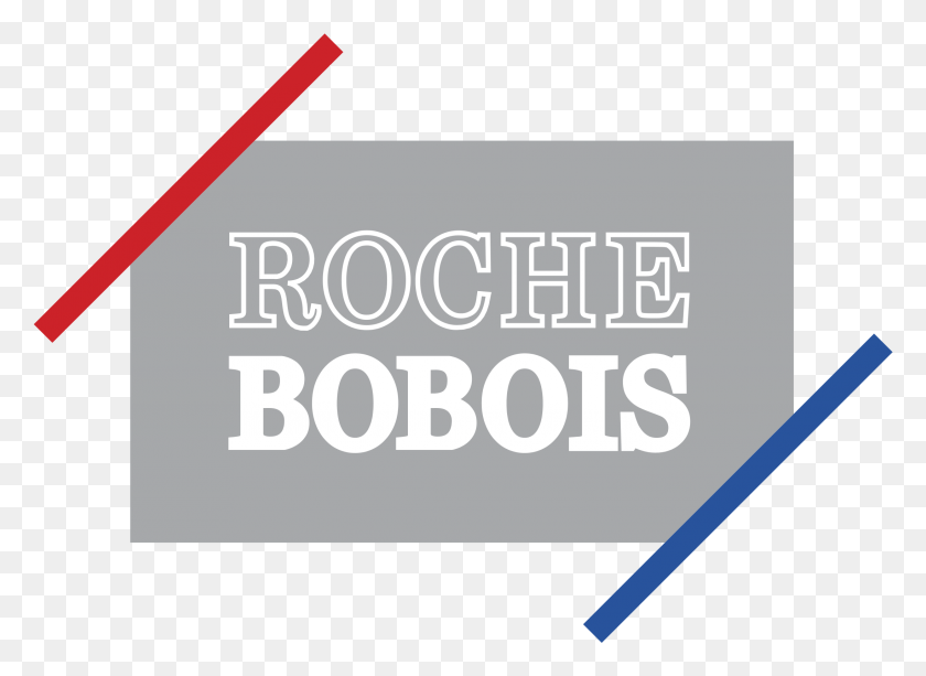 2191x1555 Roche Bobois Logo Transparent Statistical Graphics, Text, Business Card, Paper HD PNG Download