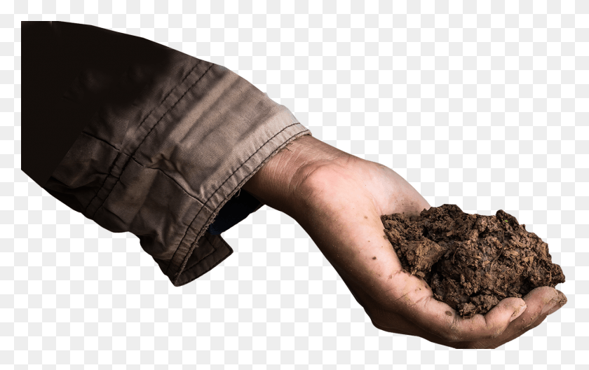 1413x848 Rock Hand, Soil, Person, Human HD PNG Download
