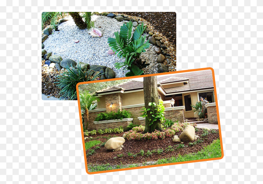 590x529 Rock Solid Stone Center Backyard, Outdoors, Plant, Person Descargar Hd Png