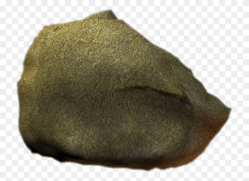 730x551 Rock Transparent Image Igneous Rock, Fossil, Rug, Animal Descargar Hd Png