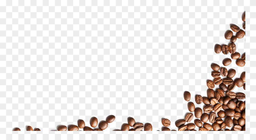770x400 Rocket Is Happy To Offer Coffee Brewed With Beans From Coffee Bean Frame, Person, Human, People HD PNG Download