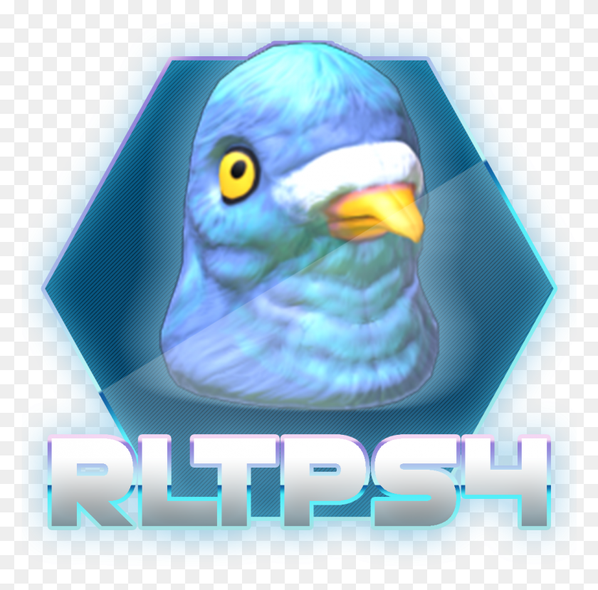 1081x1067 Rocket League Trading Ps4 Pigeon Rocket League, Bird, Animal, Angry Birds HD PNG Download