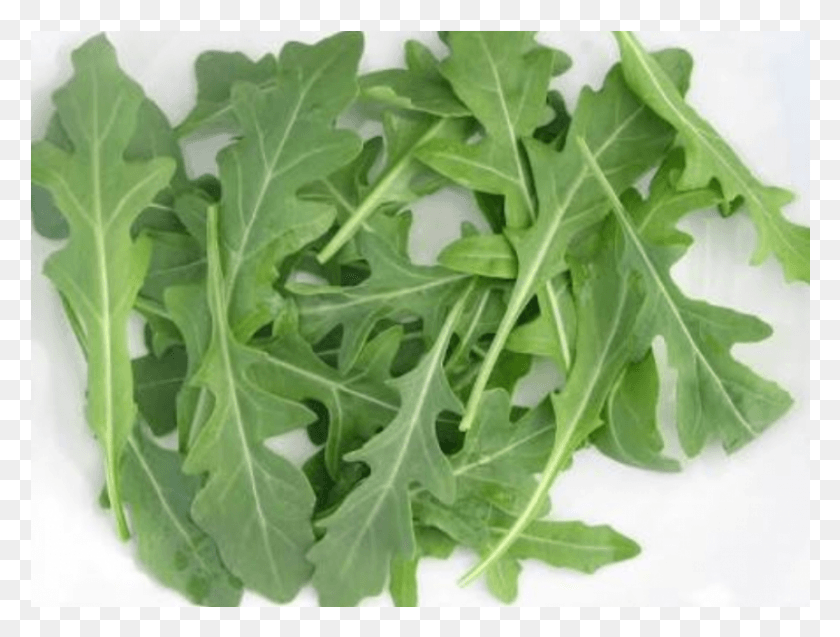 801x593 Rocket Leaves In Hindi, Plant, Produce, Food HD PNG Download