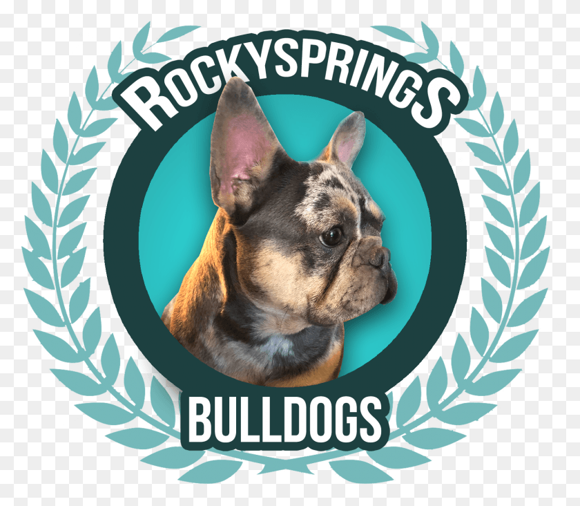 1485x1281 Rocky Springs Bulldogs Cecil Andrews College, French Bulldog, Bulldog, Dog HD PNG Download