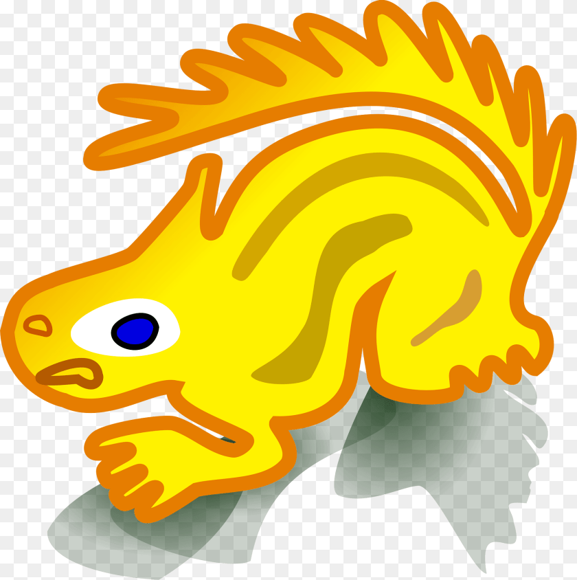 1910x1920 Rodent Clipart, Baby, Person, Animal, Fish PNG