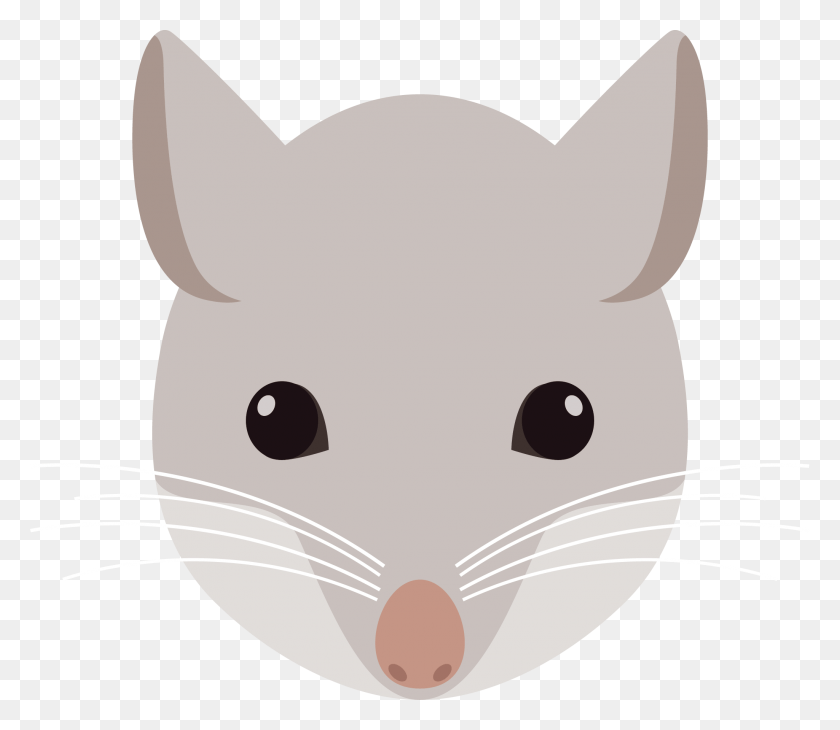 2049x1762 Rodent Clipart Mouse Head Head Of Rat Clip Art, Mammal, Animal, Diaper HD PNG Download