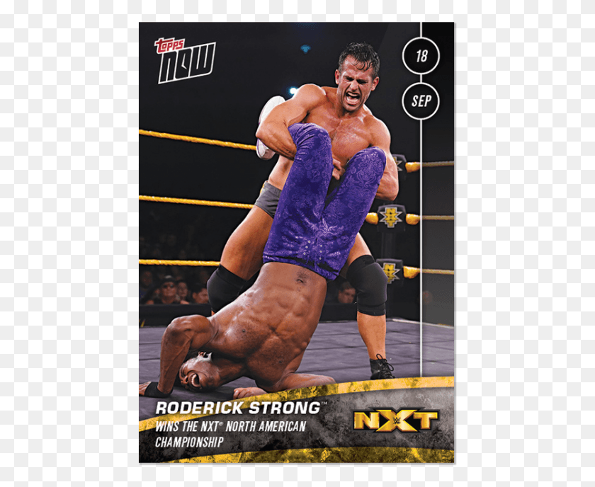 451x628 Roderick Strong Wins The Nxt North American Championship Wwe Nxt, Person, Human, Sport HD PNG Download