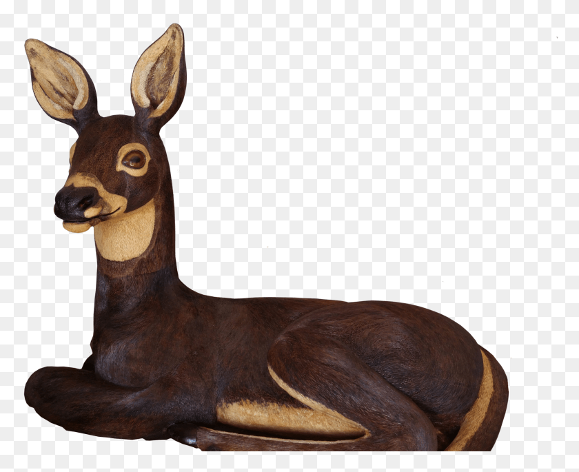1809x1450 Roe Deer, Antelope, Wildlife, Mammal HD PNG Download