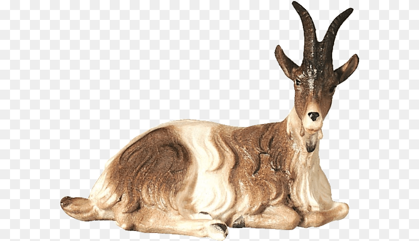 602x484 Roe Deer, Animal, Mammal, Antelope, Wildlife Clipart PNG