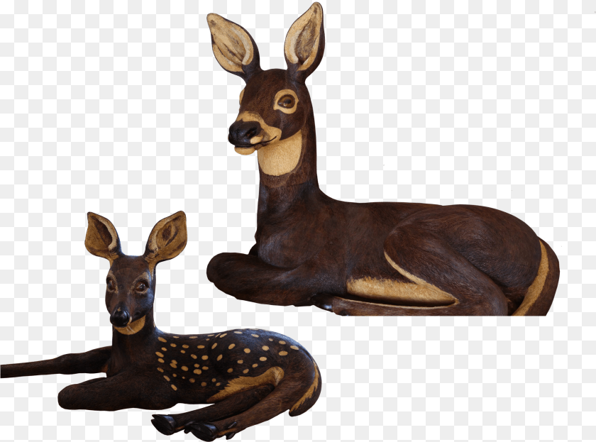 1959x1452 Roe Deer, Animal, Mammal, Wildlife, Kangaroo PNG