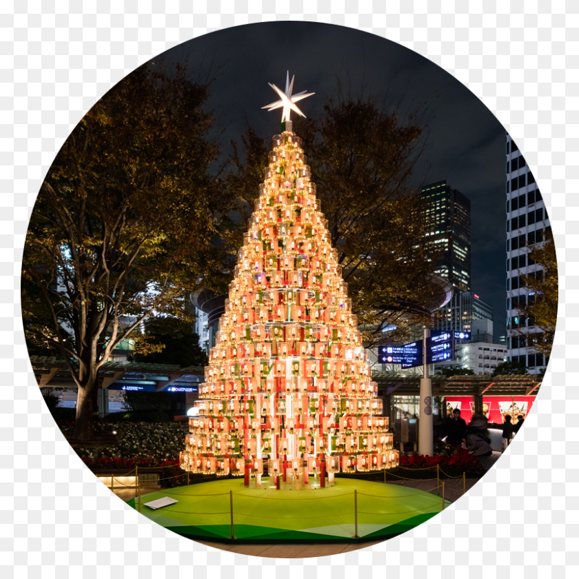 800x800 Roku Roku Plaza Illumination, Christmas Tree, Tree, Ornament HD PNG Download