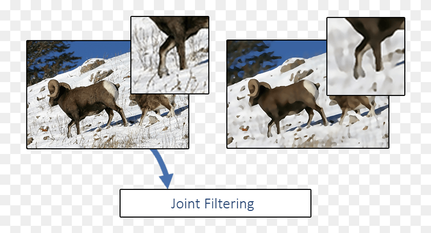 740x394 Rolling Guidance Filter, Cow, Cattle, Mammal HD PNG Download