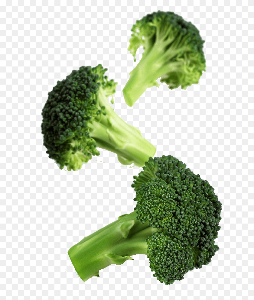 630x933 Descargar Png / Brócoli Romanesco Hd Png