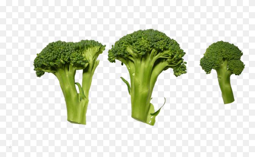 926x542 Romanesco Broccoli Transparent Recortes De Verduras, Plant, Vegetable, Food HD PNG Download