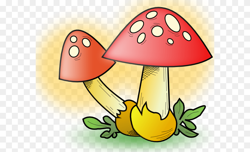 600x512 Romanov Mushroom Clip Art Vector, Agaric, Fungus, Plant PNG