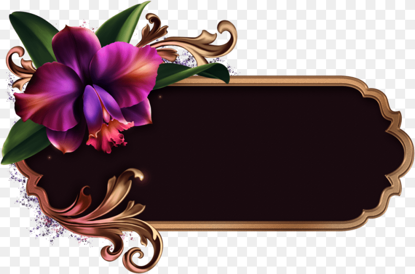 995x658 Romantic Orchids Wedding Album Stationary Design Wedding Album, Art, Floral Design, Flower, Graphics Sticker PNG