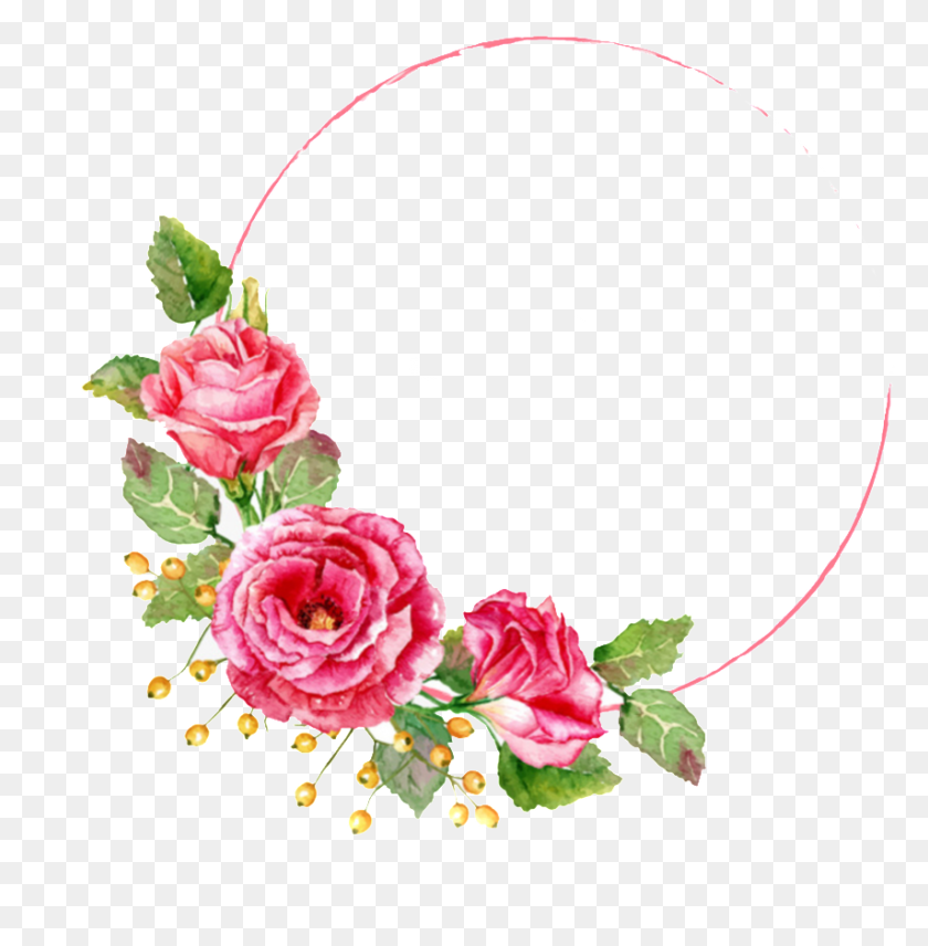 854x872 Romnticas Rosas Vermelhas Pintadas Com Pink Rose Corner, Plant, Graphics HD PNG Download