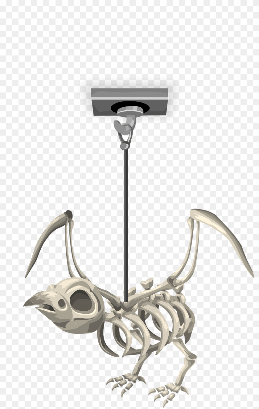 Rook Skeleton Ceiling Decor Clipart, Electronics, Hardware Sticker PNG