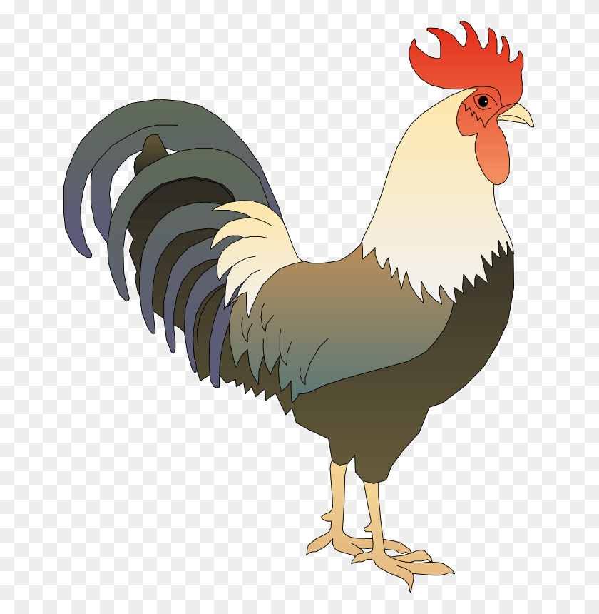 661x800 Gallo Png / Gallo Hd Png