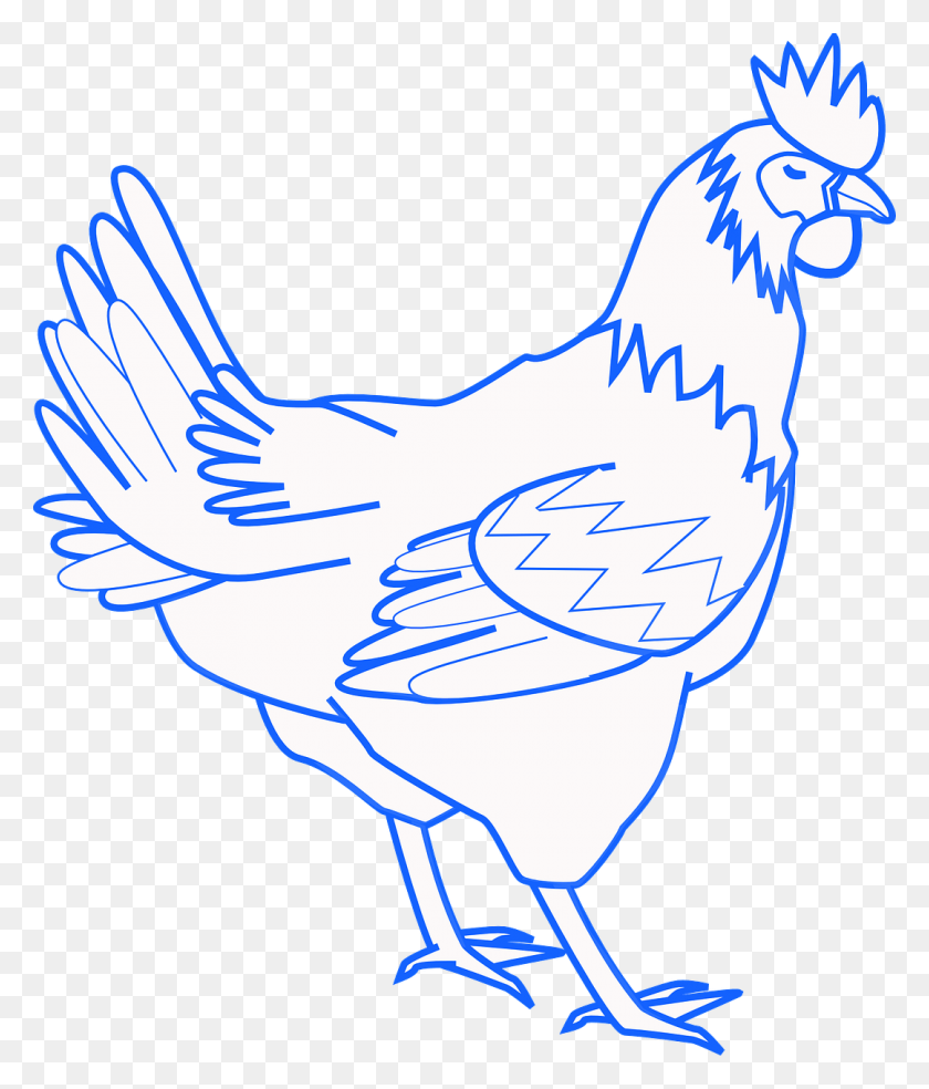 1080x1280 Rooster Chicken Bird Cock Image Chicken Cliparts, Animal, Poultry, Fowl HD PNG Download