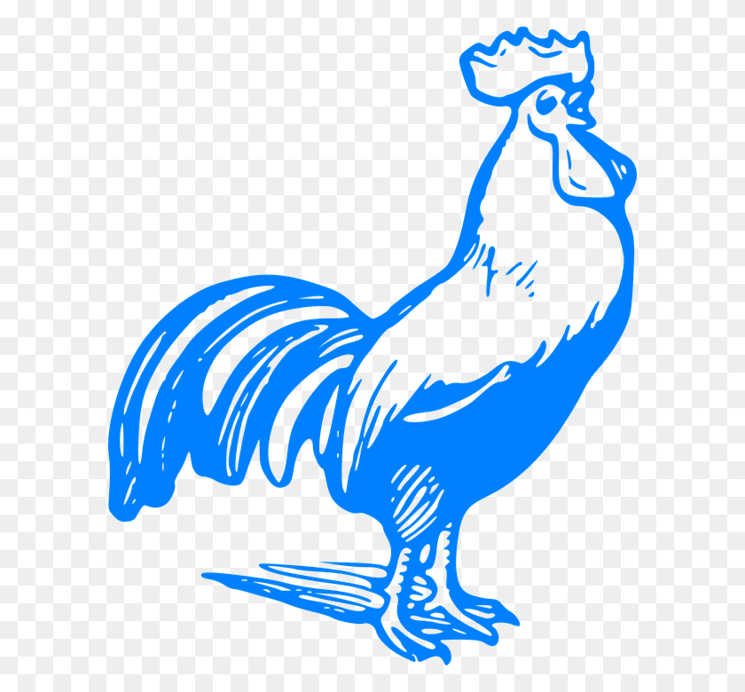 596x720 Rooster Chicken Crow Rooster Blue, Animal, Bird, Poultry HD PNG Download
