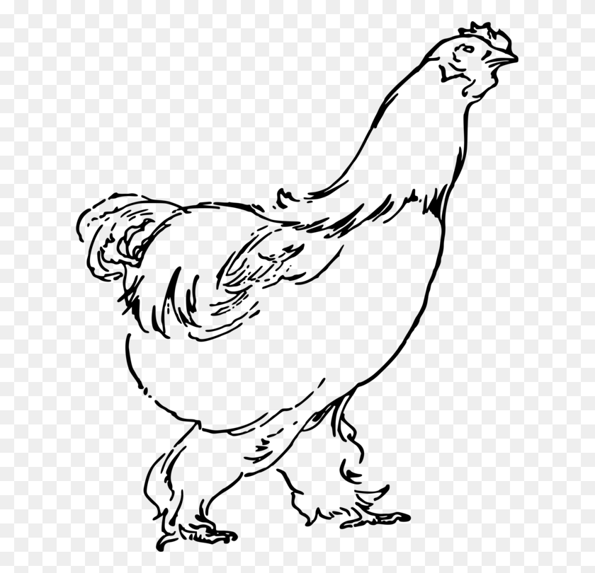625x750 Rooster Chicken Drawing Landfowl Poultry Hen Drawing, Gray, World Of Warcraft HD PNG Download