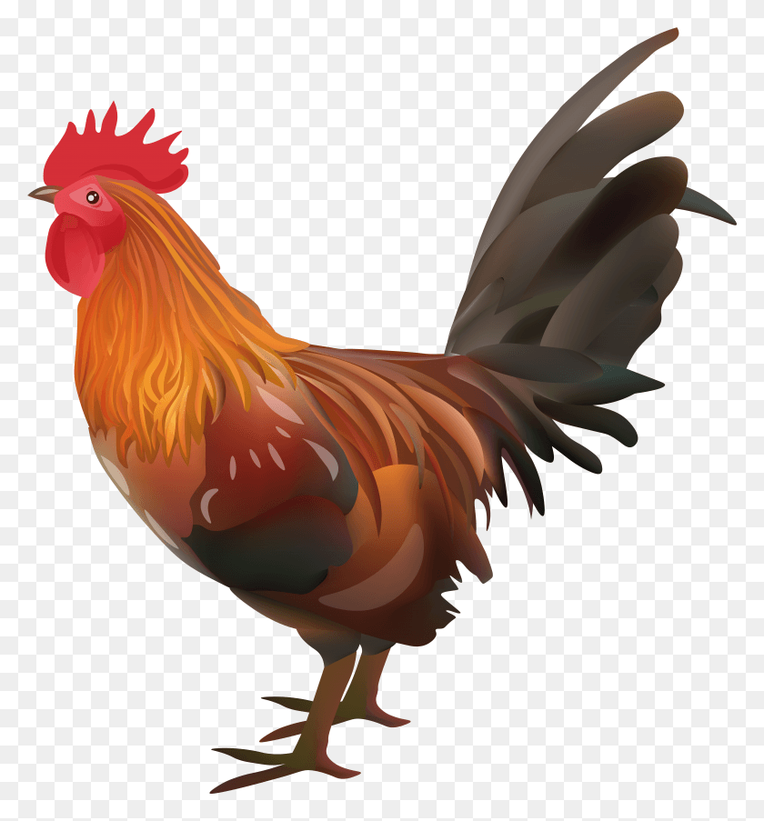 7281x7875 Rooster Chicken Transparent Image HD PNG Download