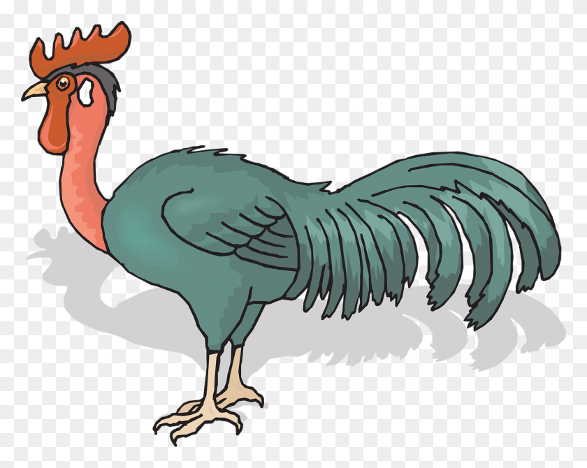 1280x1002 Gallo Png / Gallo Hd Png