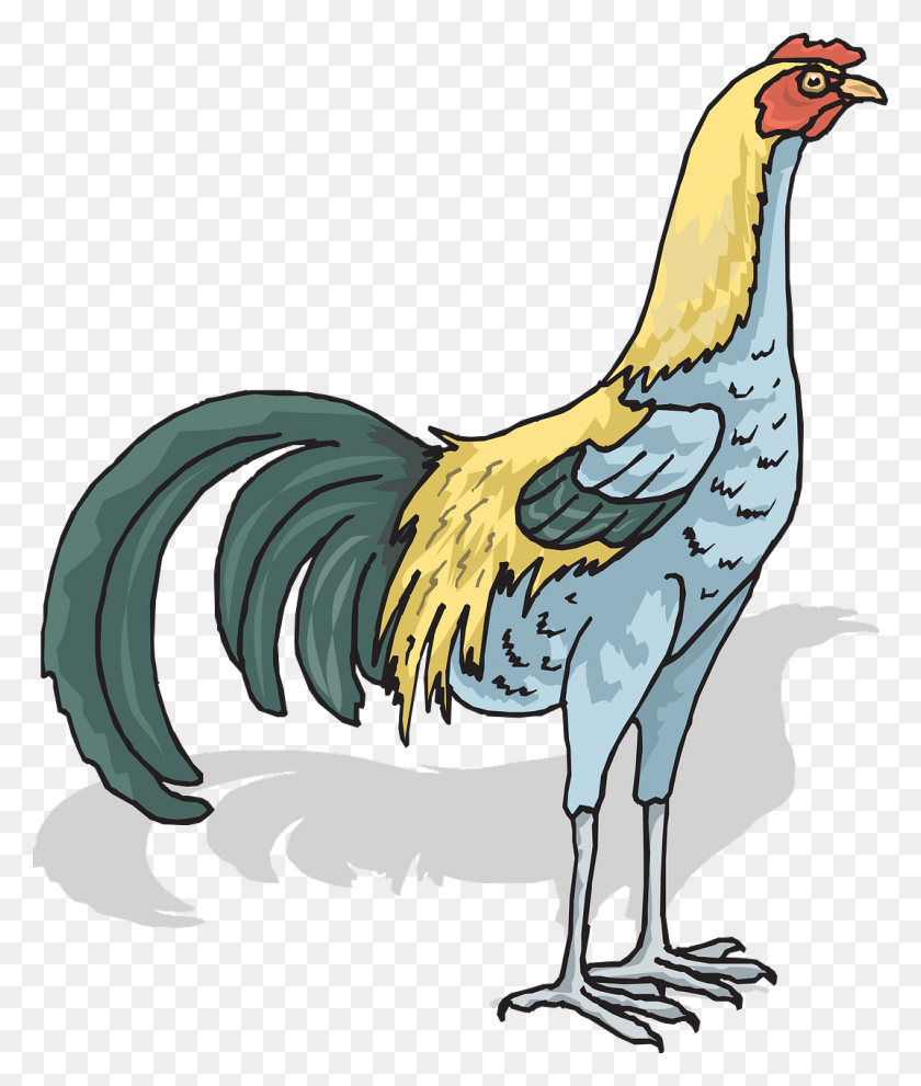 1072x1280 Gallo Png / Gallo Hd Png