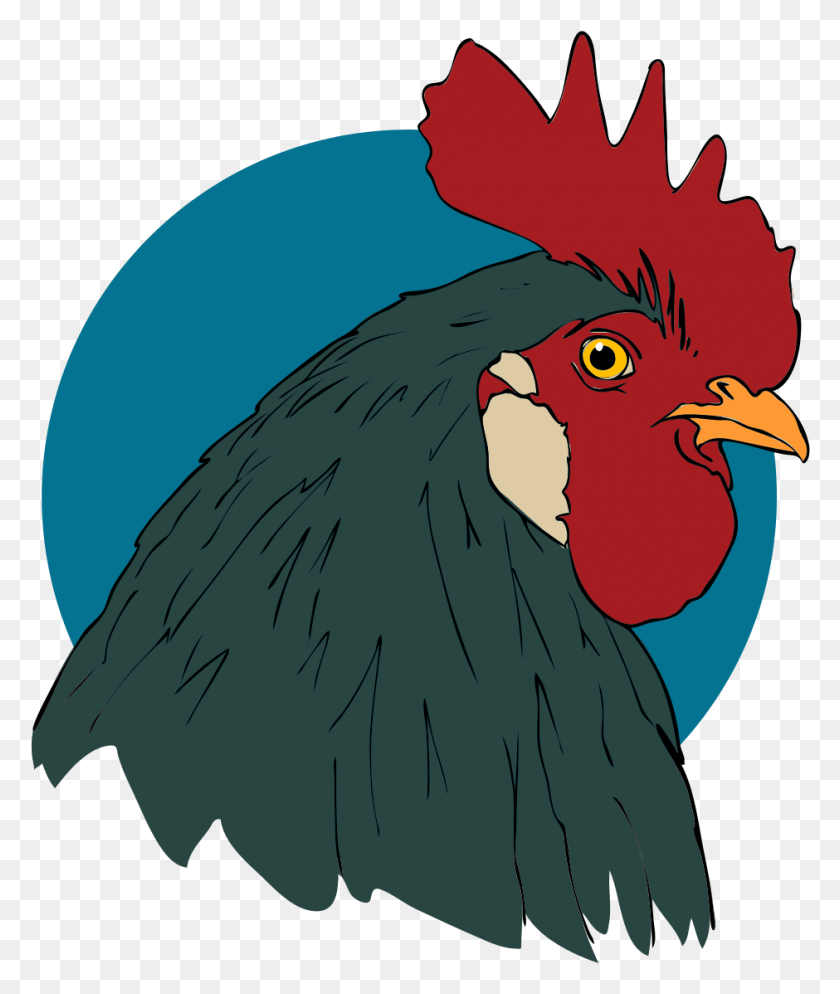940x1126 Rooster Gambar Animasi Ayam Jago, Bird, Animal, Poultry HD PNG Download