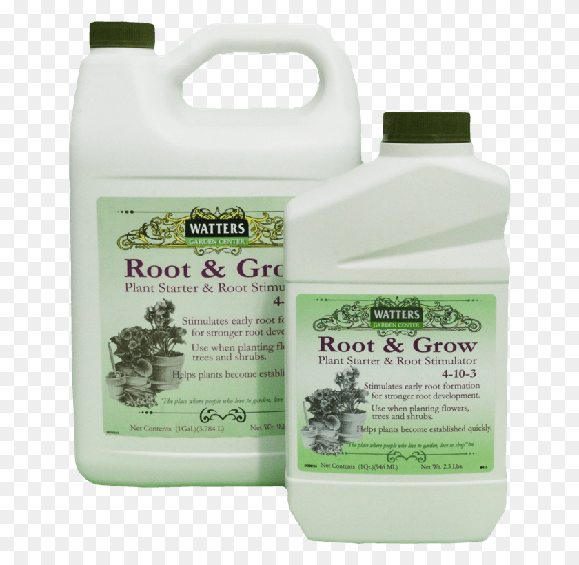 642x760 Root Amp Grow Carpenter Ant, Plant, Bowl, Food HD PNG Download