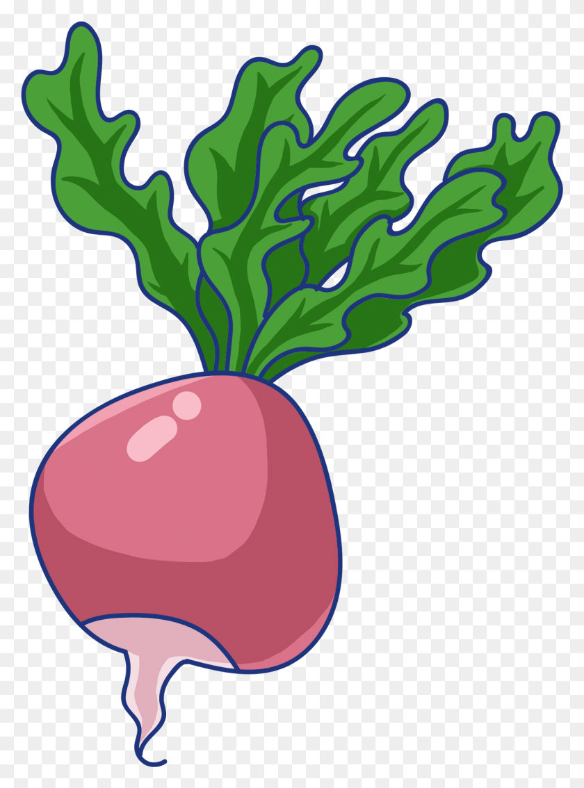 1254x1728 Root Red Radish Green And Psd Radish, Plant, Vegetable, Food HD PNG Download