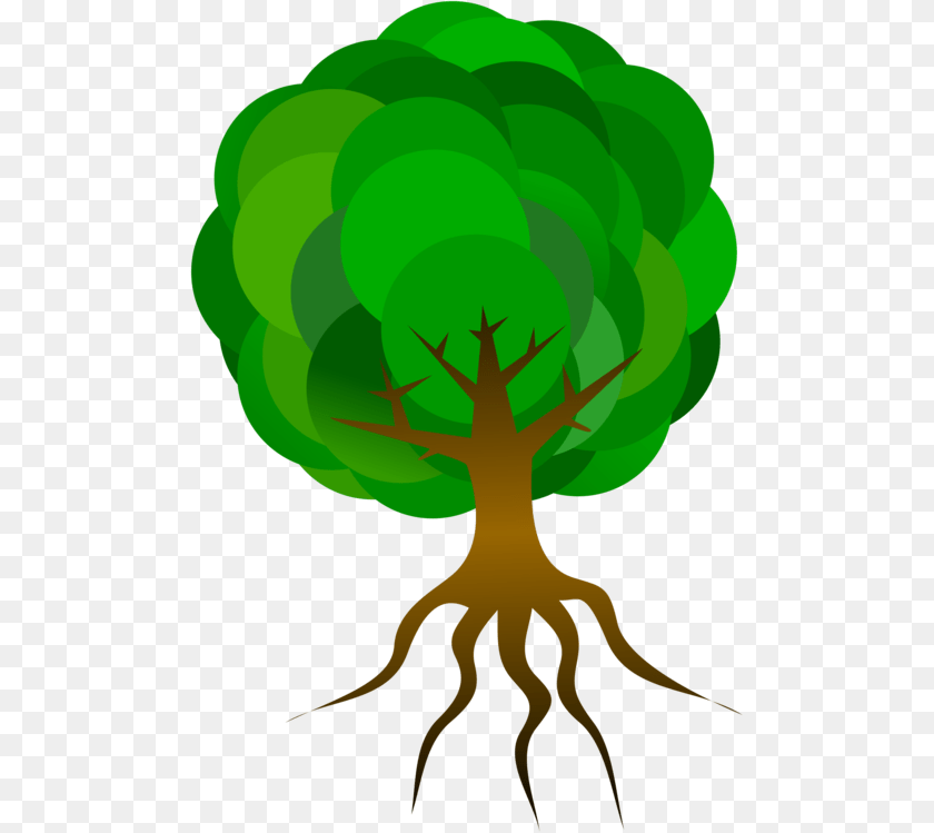 498x749 Root Tree Drawing Oak Branch, Green, Plant, Person Sticker PNG