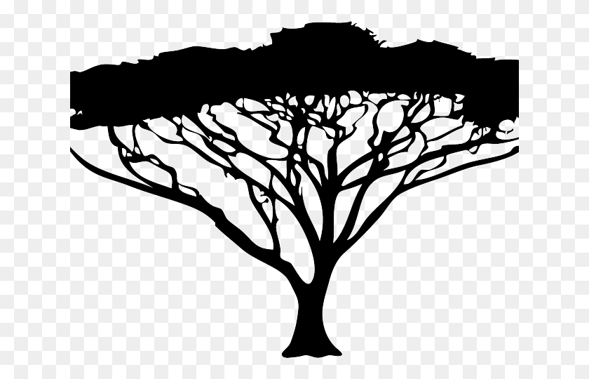 640x480 Roots Clipart African Acacia Tree Black And White, Plant, Nature HD PNG Download