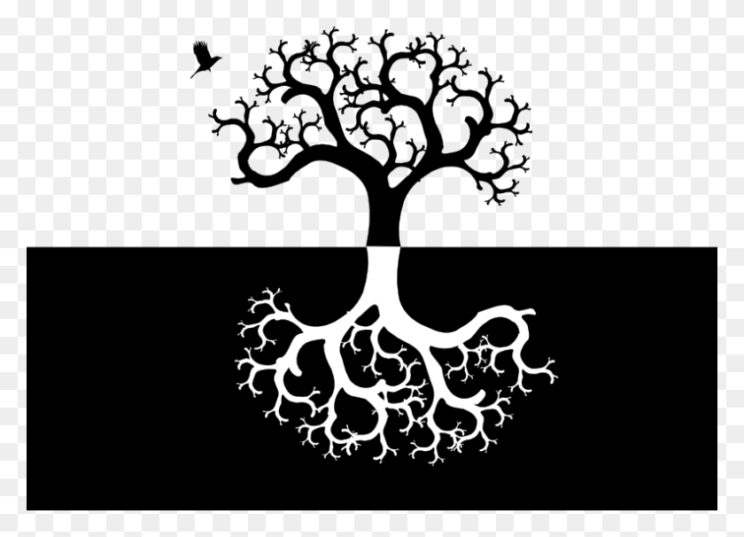 791x554 Roots Clipart Translucent Symmetrical Tree And Roots, Plant, Root, Bird HD PNG Download