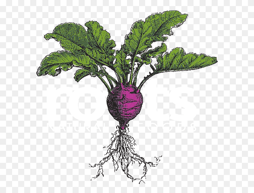 601x580 Roots Natural Foods Logo Natural Roots, Plant, Vegetable, Food HD PNG Download