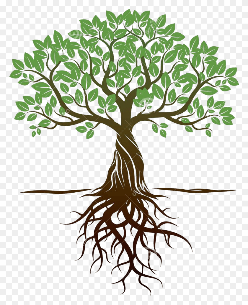 Дерево с корнями и кроной